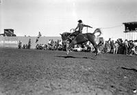 [Unidentified Cowboy riding bronc]