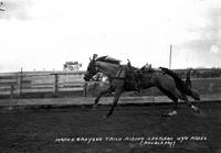 Marga Broysen Trick Riding Sheridan Wyo Rodeo