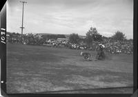 Glen Shaw Calf Roping