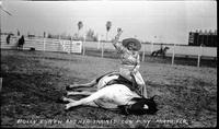Dolly Eskew and Her Trained Cow Pony Miami, Fla.