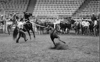 Gary Johnson Calf roping