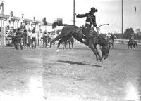 Vaughn Kreig on "Boxer" Colorado State Fair