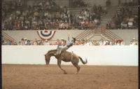 Terry Correll on Miss Abbyville