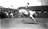 Ed Combs Riding Wild Steer North Platte Round-Up