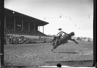 Johnny Spruell on Screaming Willie