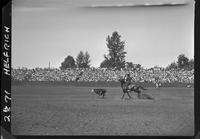 Len Perkins Calf Roping