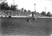 [Unidentified Cowboy falling forward and about to leave head-first over bronc's head]