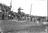 [Unidentified Cowboy riding Saddle Bronc who is completely airborne]