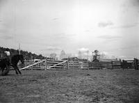 Felix Cooper on Nig Noble Ranch