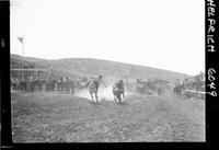 Verle Hammack Steer Wrestling