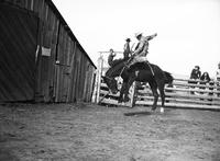Ray Vowell on Billie Boy Irvin Ross Ranch