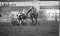 Jason Cooper Steer wrestling