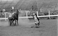 Jack Witcher Calf roping