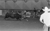 Unidentified Rodeo clowns fighting Bandit