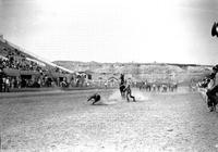 [Unidentified calf roper running to calf]