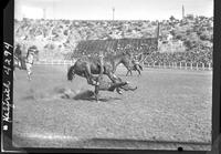 Bob Gage off High Ball