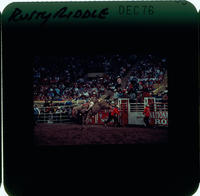 Rusty Riddle on Moonshine