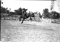 [Unidentified cowgirl riding bronc]