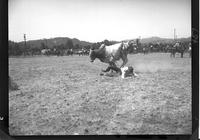 Bill Emerson off a Brahma Bull