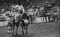 Lonnie Wyatt on Bull #F2