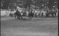 J.D. Matthews Steer wrestling