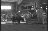 Bret Hammons on Bull #44