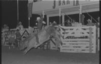 Tyson Cobb on Bull #J