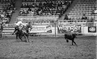 Mike Bailey Calf roping