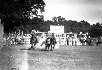 Tom Breeden Bulldogging Ardmore Rodeo