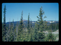 Landscape, Rabbit Ears Pass