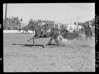 Bob Henry Steer Wrestling