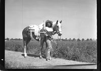 Jeanne Godshall  (By side of Horse)