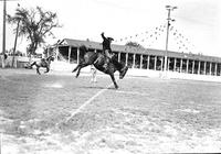 [Unidentified Cowboy riding bronc]