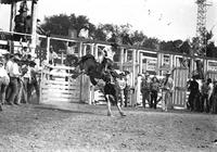 [Unidentified Cowboy riding and staying with his mount in front of chutes]