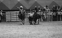 Sam Duvall Steer wrestling, 5.8 Sec