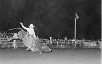 Marty Staneart on Bull #74