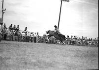 [Unidentified Cowboy about to lose his hat hangs on to finish his ride on rear kicking bronc]