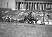 [Unidentified Cowboy riding bronc in Soldier Field]