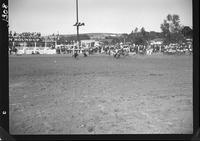 Bill Linderman Calf Roping