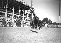 [Unidentified Cowboy riding bronc]