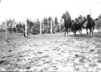 [Unidentified cowboy leaving horse to wrestle steer]