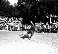 [Unidentified Cowboy riding & staying with Bronc as spectators to right & cowboys to left look on]