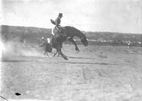 McDonald on a Nice Gentle Pony? Newcastle Wyo.