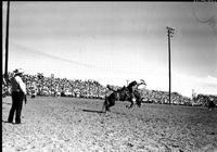 [Unidentified Cowboy leaving bronc like he was shot out of cannon]