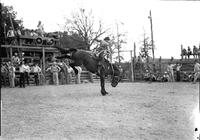 [Unidentified Cowboy riding bronc]