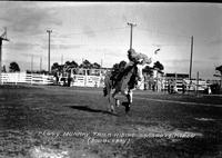 Peggy Murray Trick Riding Sarasota, Rodeo