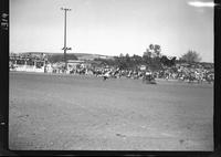 Emmit Lynch Calf Roping