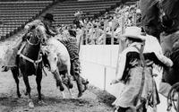 Steve Colson on Soldier Blue