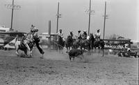 Dale Motley Calf roping