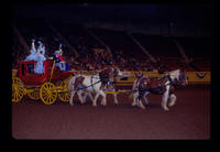 Grand entry, unidentified contestants